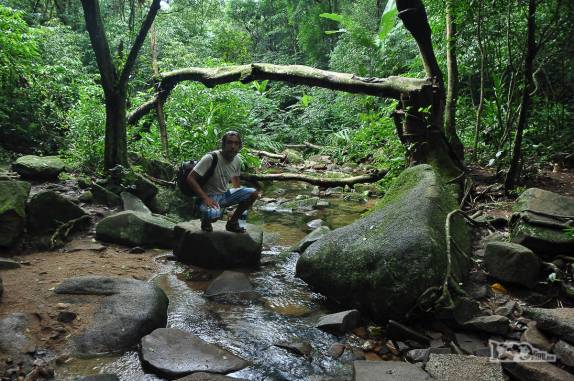 Córrego de água limpa na trilha para a praia de Naufragados, no extremo sul de Florianópolis, Ilha de Santa Catarina